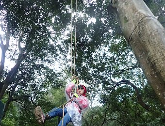 251225兒童攀樹1日體驗